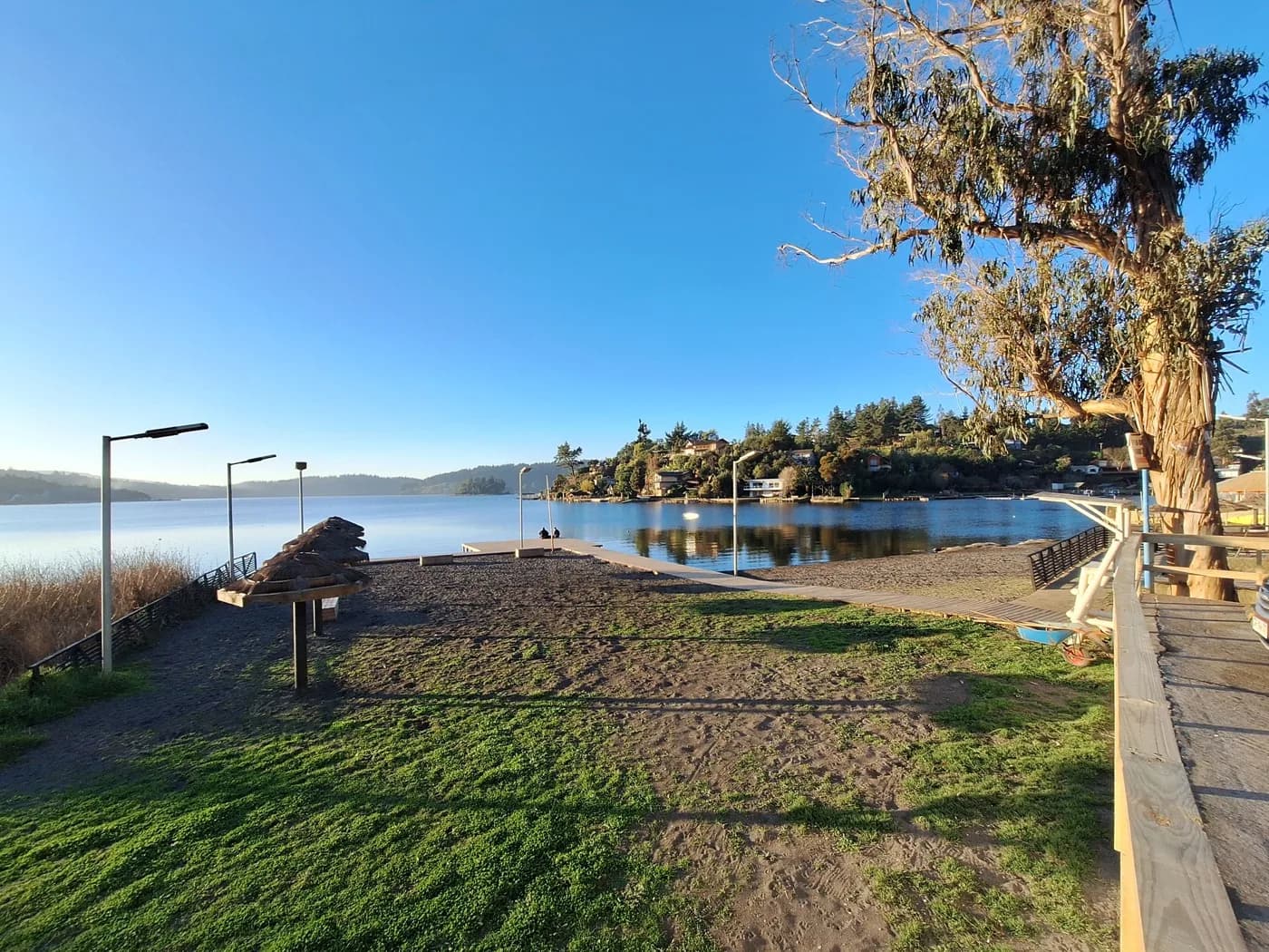 Playa Paula a orillas del Lago Vichuquén con canchas y eucalipto